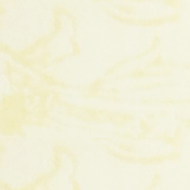 Dr.Paper A4 200gsm藝術封面卡紙 鳳紋系列-淡黃 10入/包 #20-1401